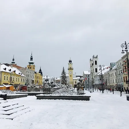 Appartamento Bl - The Penthouse, 24hr Self Check-in, 2 Bedrooms, Fireplace, Ac, Panoramic View From Main Balcony, 3-minute Walk To Center Banská Bystrica